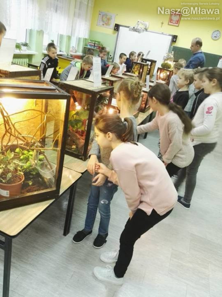 Wystawa zwierząt egzotycznych. Dzieci były odważne