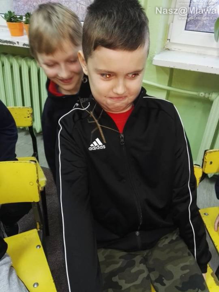 Wystawa zwierząt egzotycznych. Dzieci były odważne