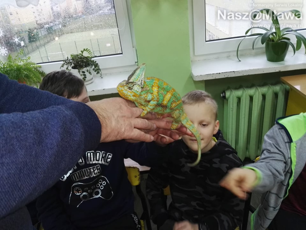 Wystawa zwierząt egzotycznych. Dzieci były odważne