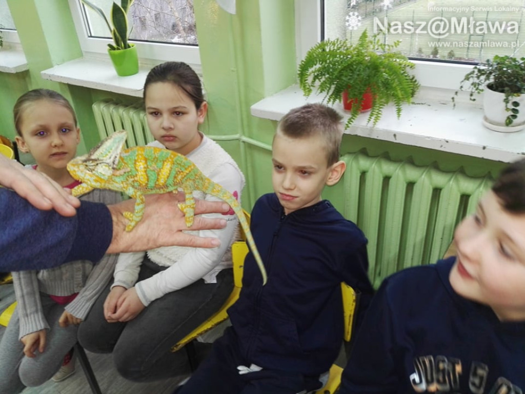 Wystawa zwierząt egzotycznych. Dzieci były odważne