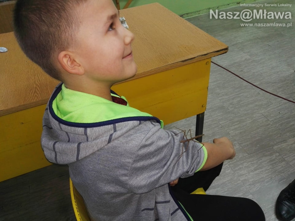 Wystawa zwierząt egzotycznych. Dzieci były odważne