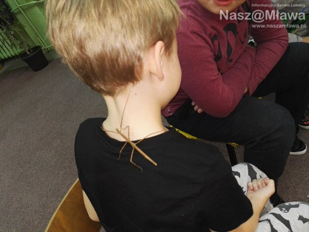 Wystawa zwierząt egzotycznych. Dzieci były odważne