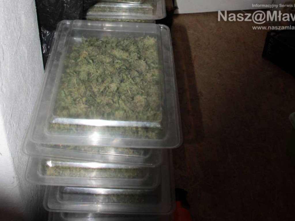 Towar wart ponad 350 tys. zł wykryty przez mławskich kryminalnych