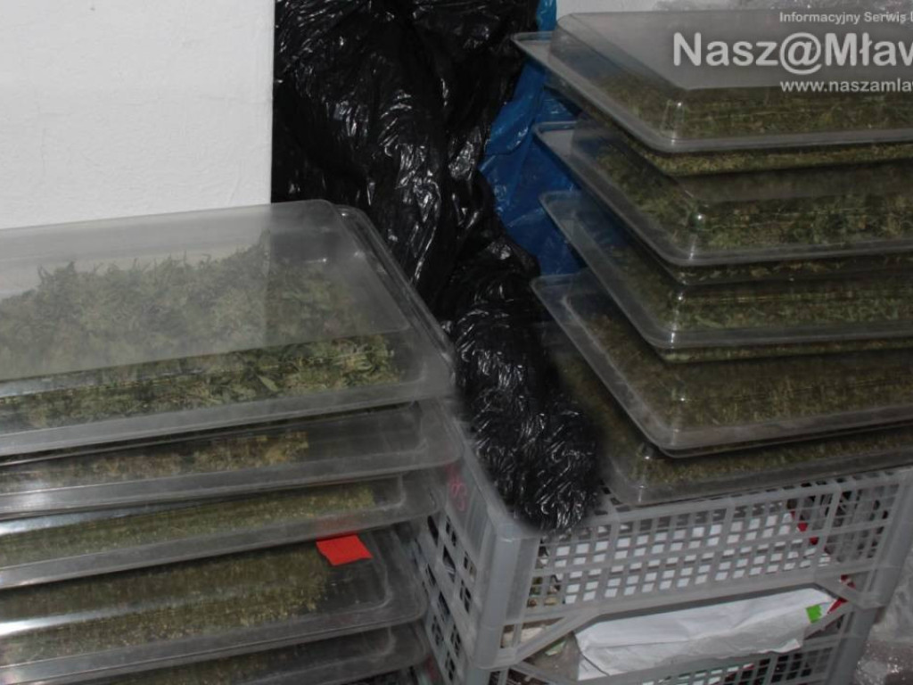 Towar wart ponad 350 tys. zł wykryty przez mławskich kryminalnych