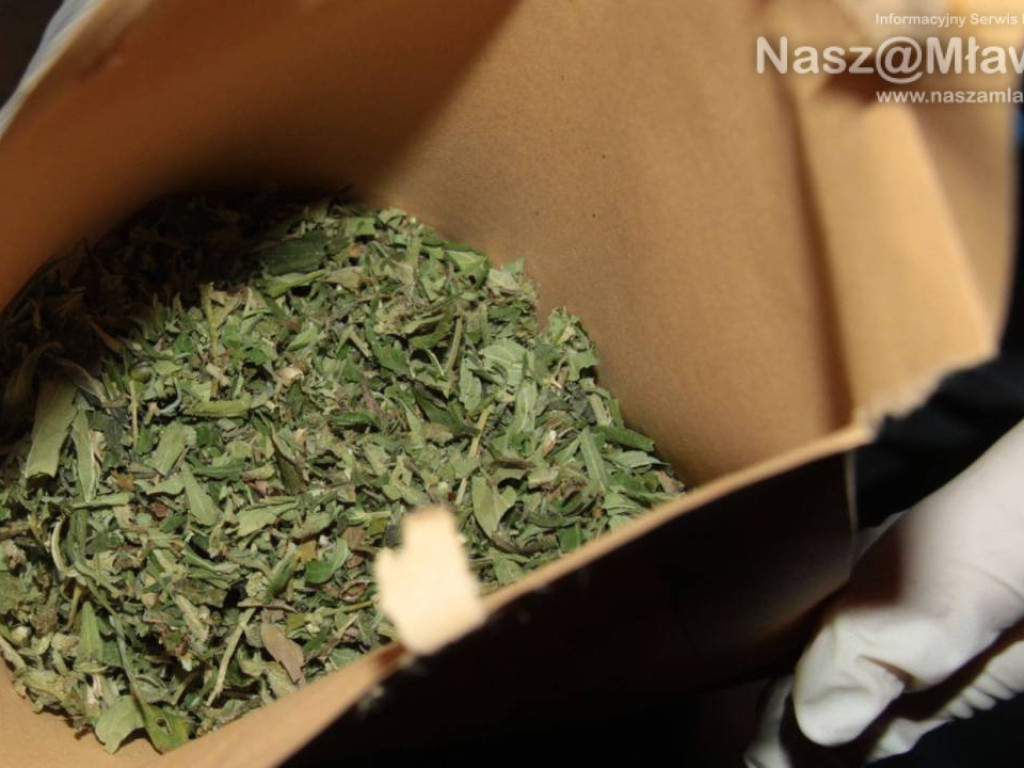 Towar wart ponad 350 tys. zł wykryty przez mławskich kryminalnych