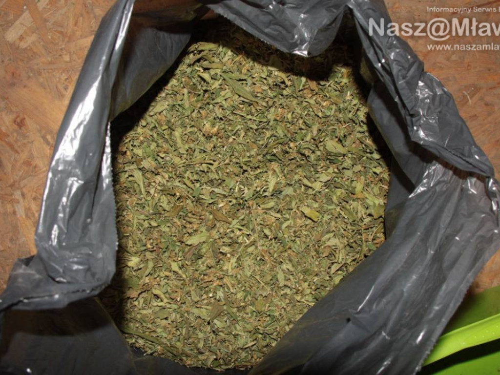 Towar wart ponad 350 tys. zł wykryty przez mławskich kryminalnych