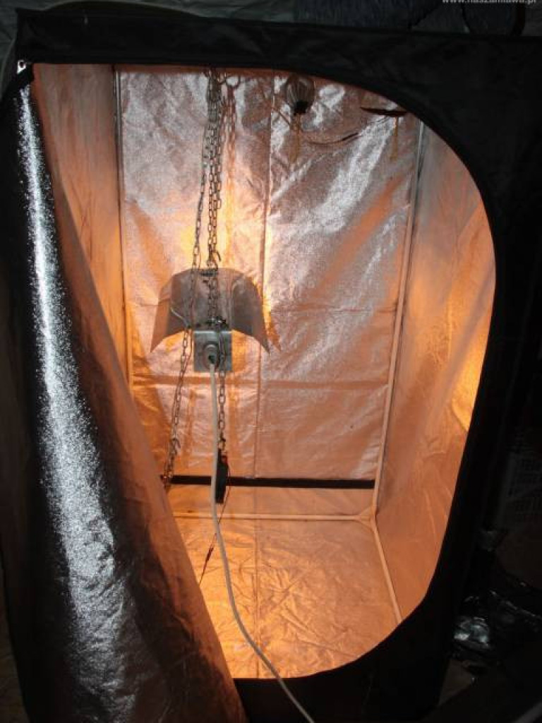 Towar wart ponad 350 tys. zł wykryty przez mławskich kryminalnych