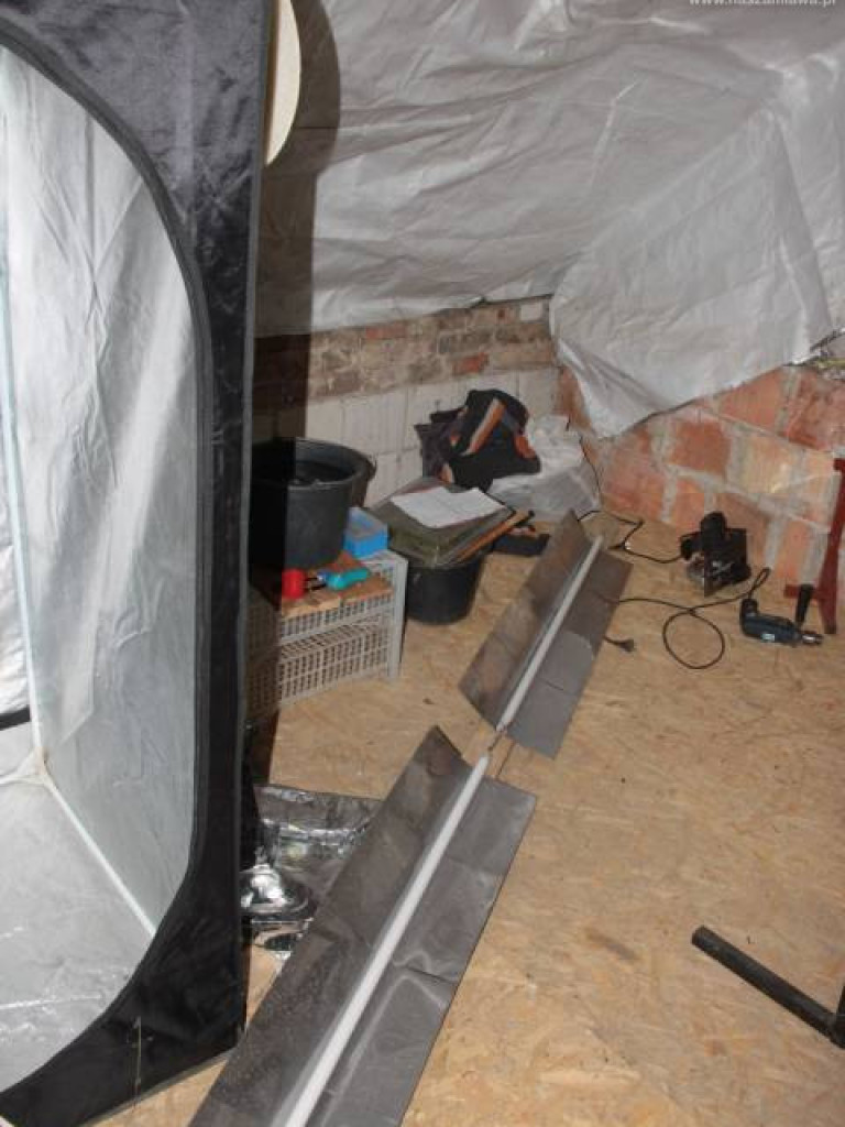 Towar wart ponad 350 tys. zł wykryty przez mławskich kryminalnych