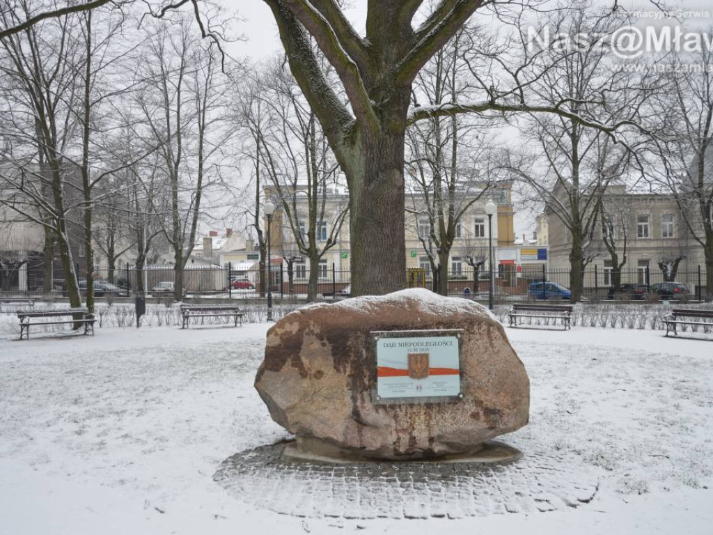 Zobacz Mławę w zimowej odsłonie [ZDJĘCIA]