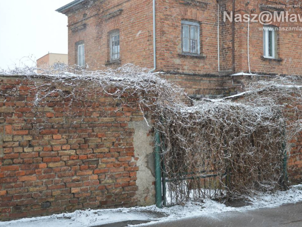 Zobacz Mławę w zimowej odsłonie [ZDJĘCIA]