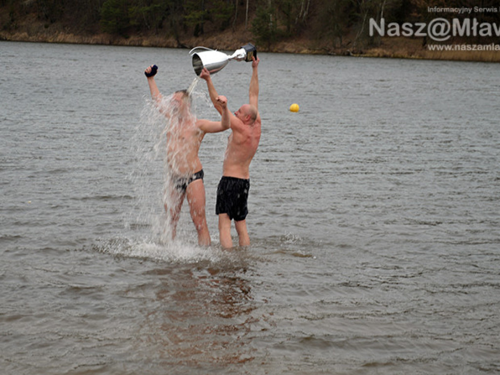 Zalew pełen foczek i morsów. Fotorelacja