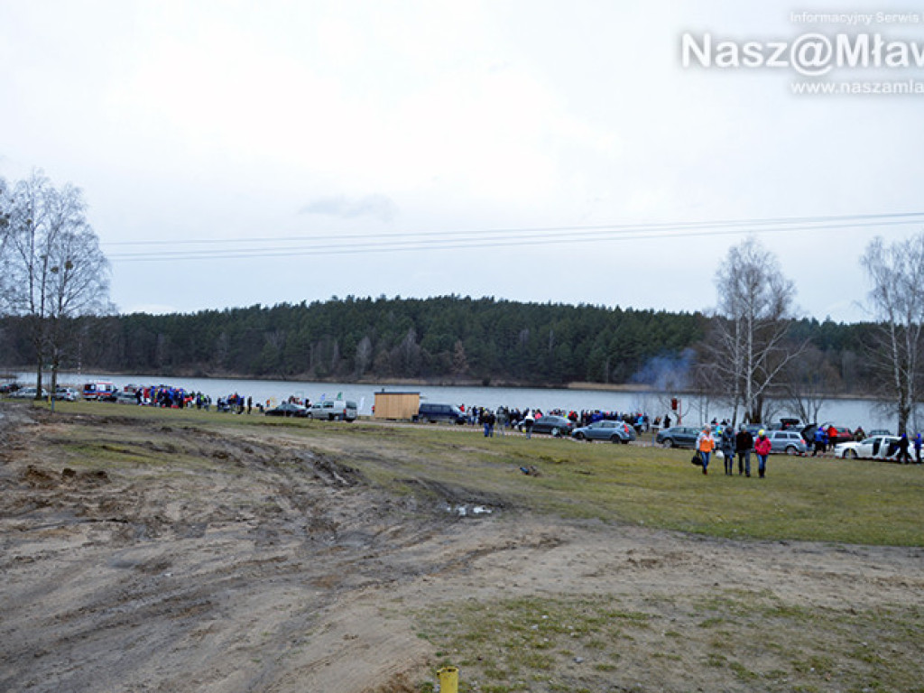 Zalew pełen foczek i morsów. Fotorelacja