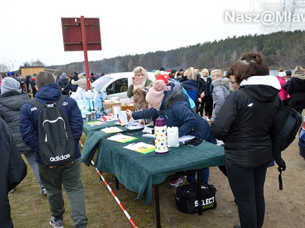 Zalew pełen foczek i morsów. Fotorelacja