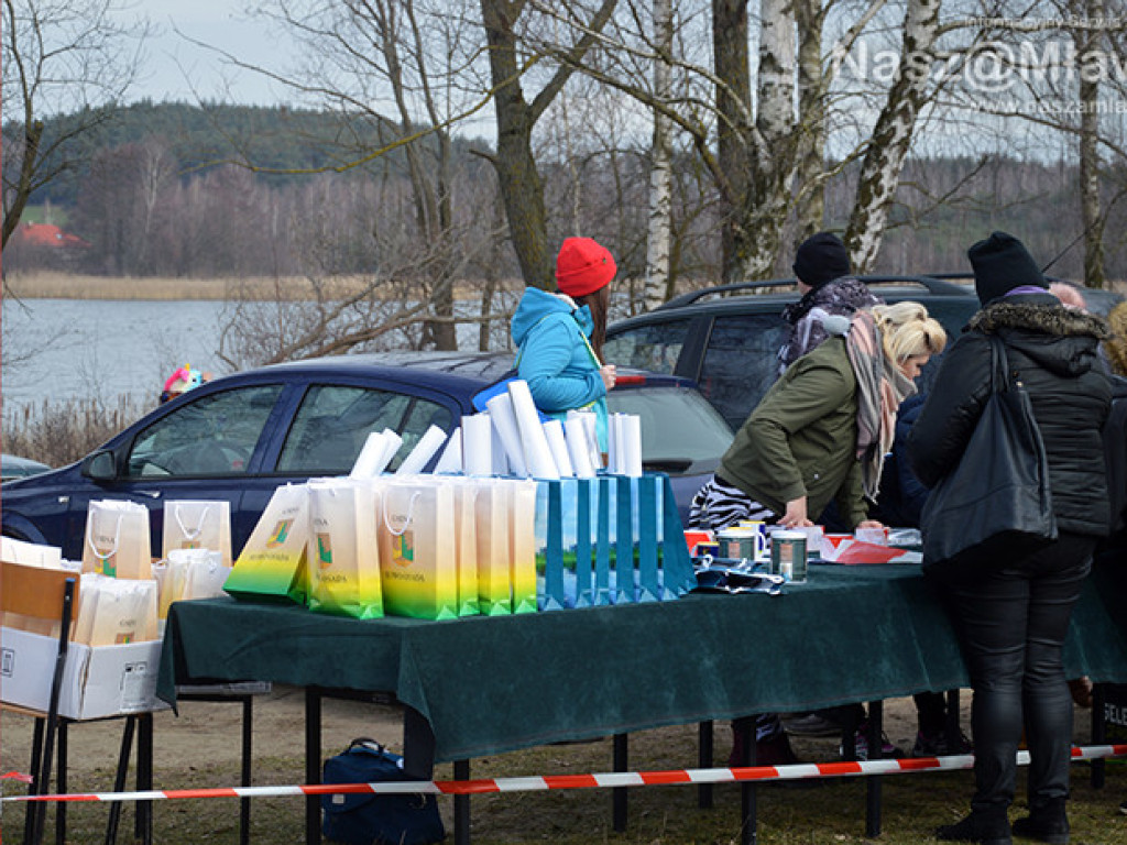 Zalew pełen foczek i morsów. Fotorelacja