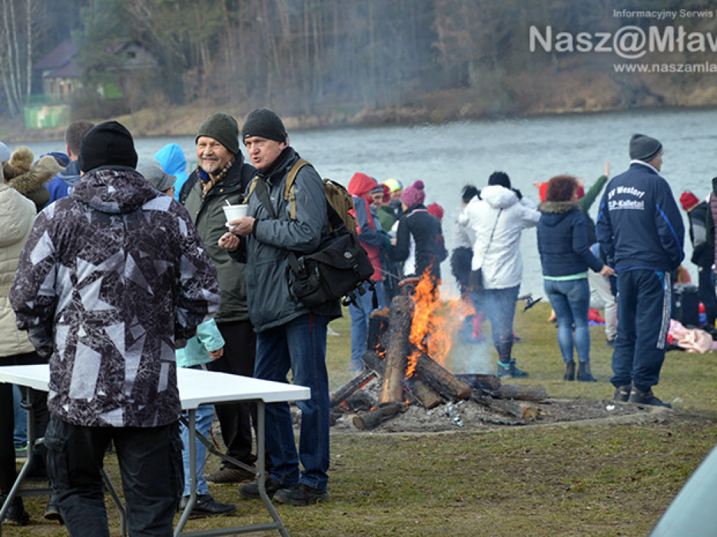 Zalew pełen foczek i morsów. Fotorelacja