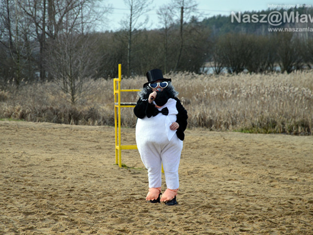 Zalew pełen foczek i morsów. Fotorelacja