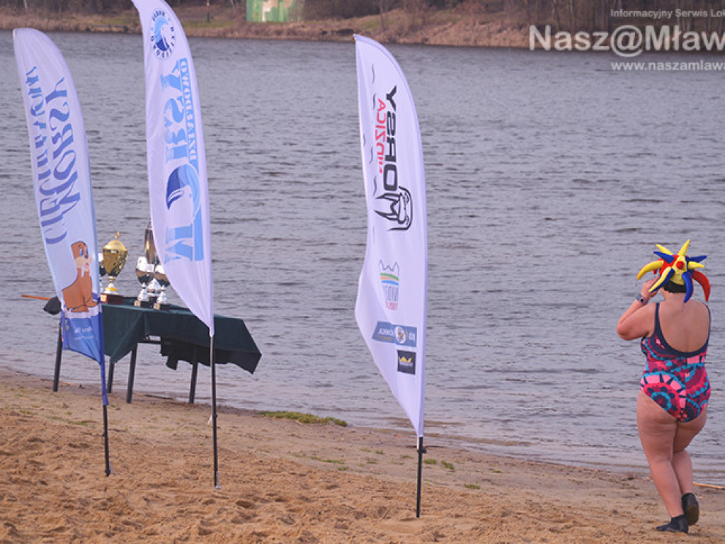 Zalew pełen foczek i morsów. Fotorelacja