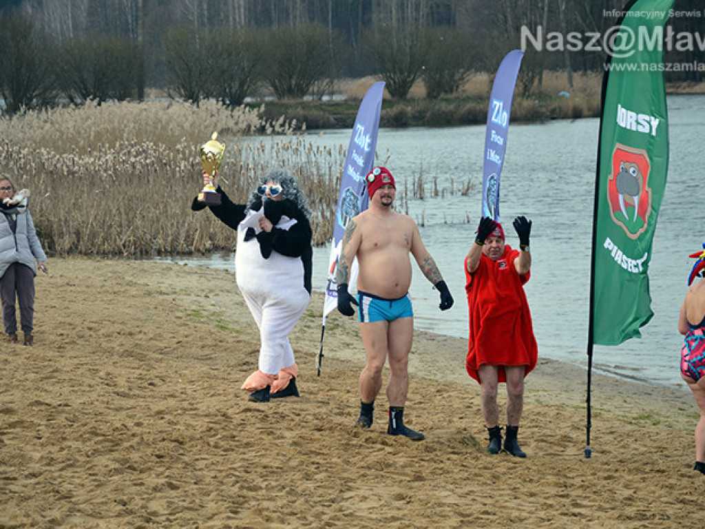 Zalew pełen foczek i morsów. Fotorelacja