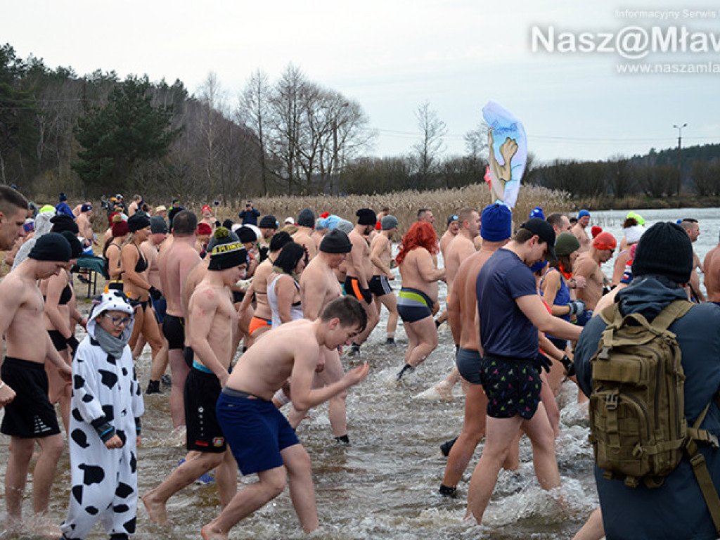 Zalew pełen foczek i morsów. Fotorelacja
