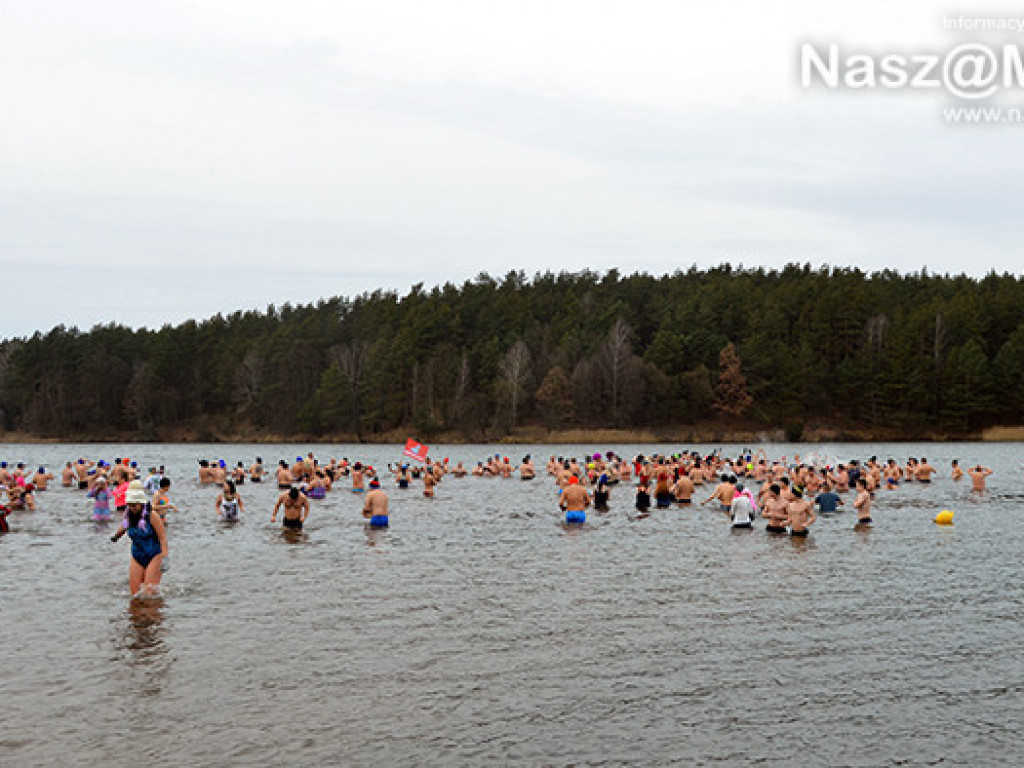 Zalew pełen foczek i morsów. Fotorelacja