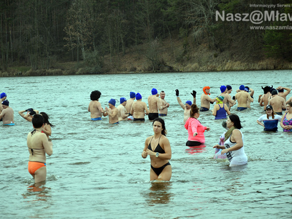 Zalew pełen foczek i morsów. Fotorelacja