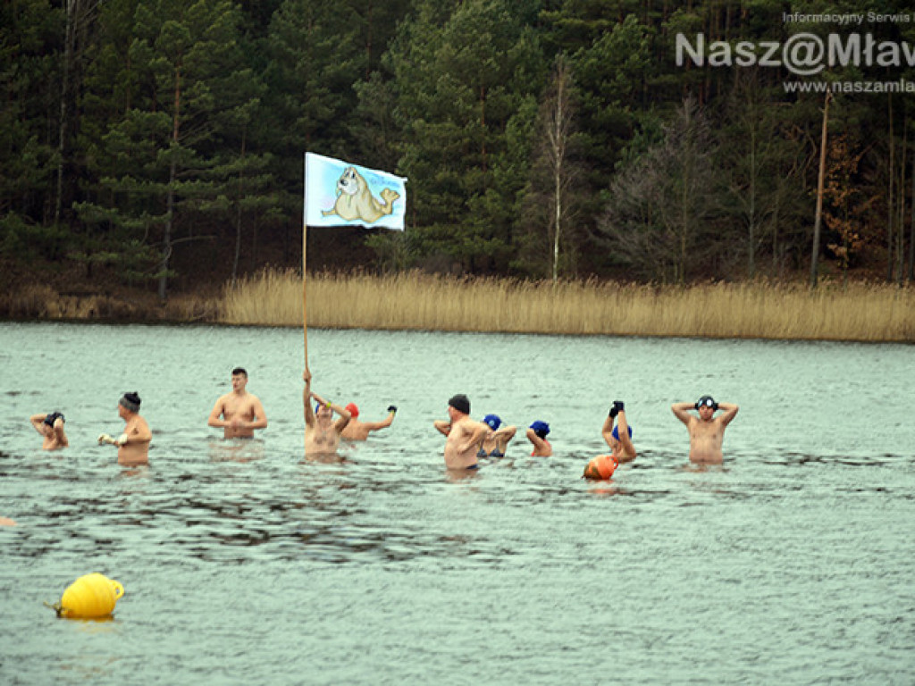Zalew pełen foczek i morsów. Fotorelacja