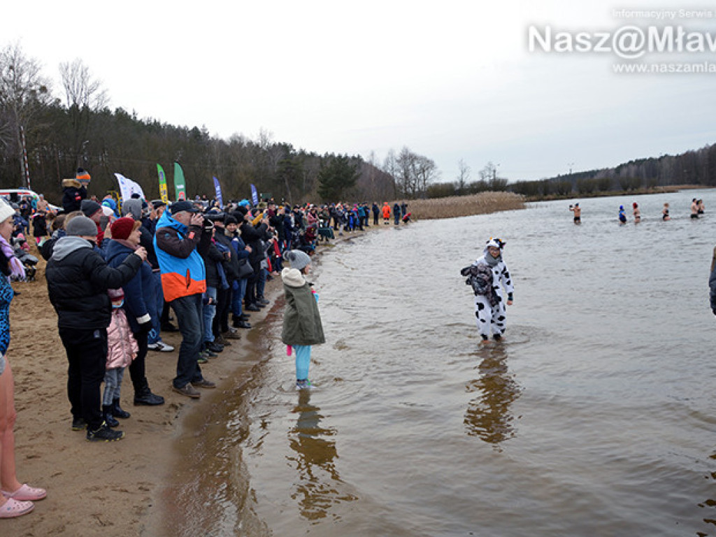 Zalew pełen foczek i morsów. Fotorelacja