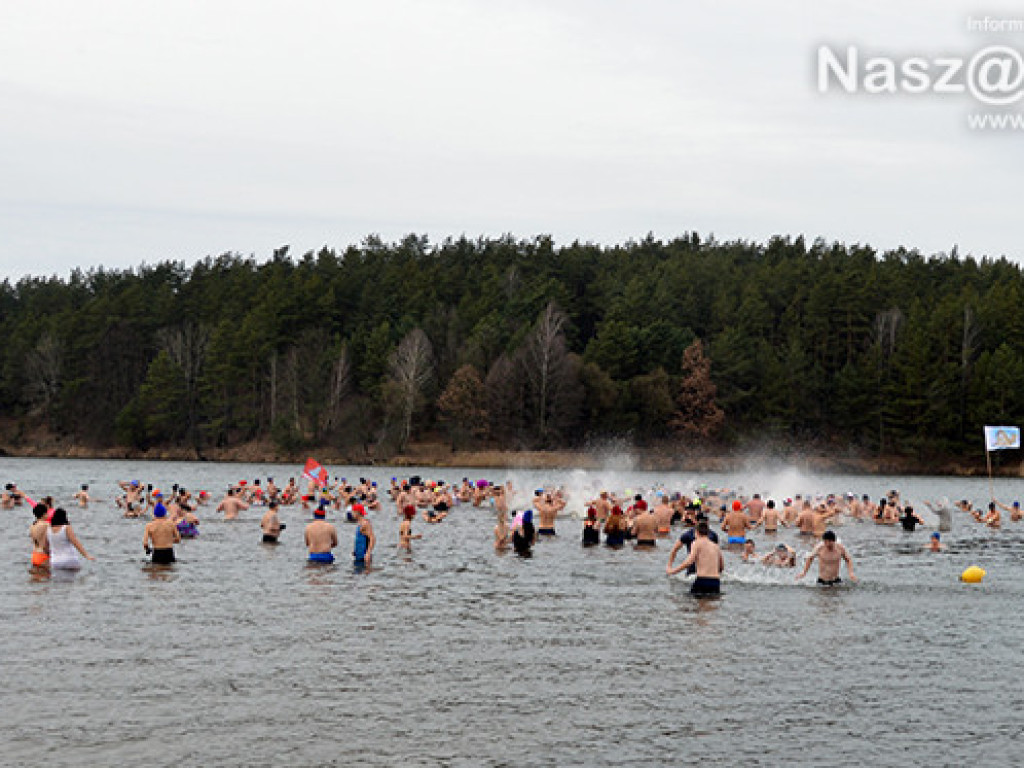 Zalew pełen foczek i morsów. Fotorelacja