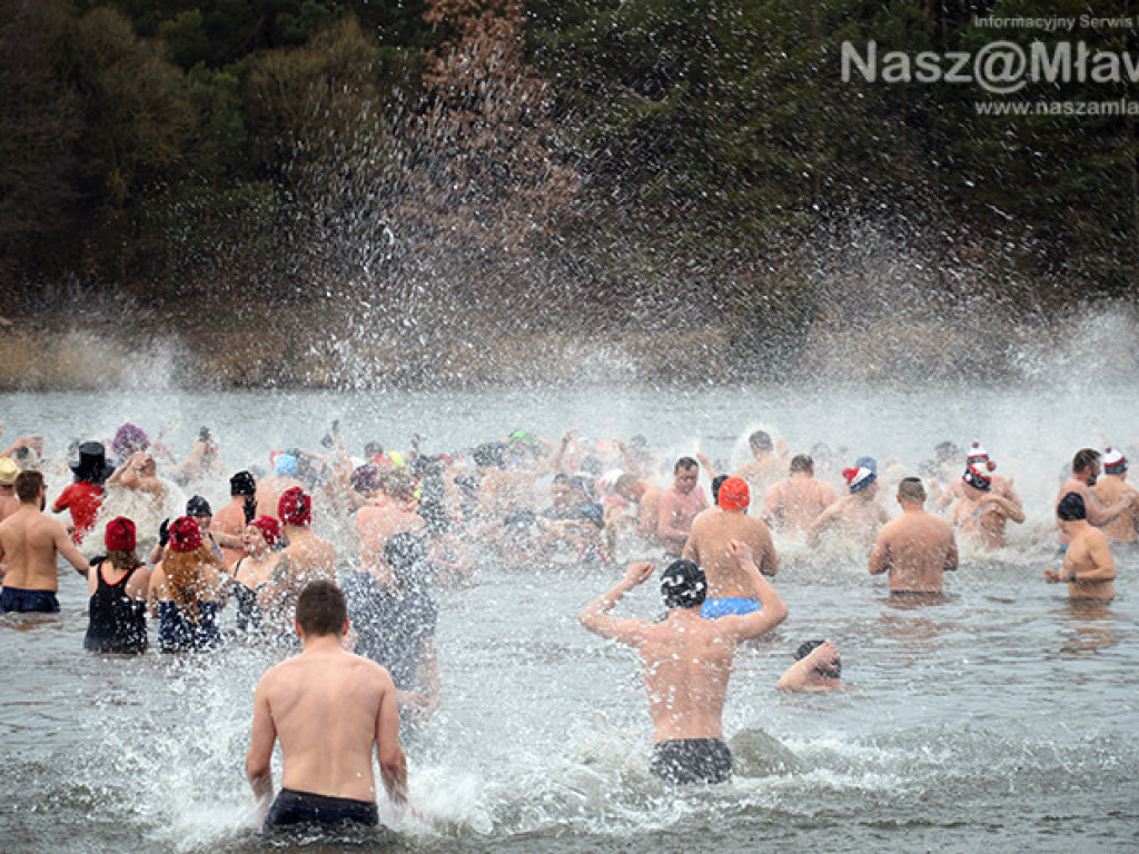 Zalew pełen foczek i morsów. Fotorelacja