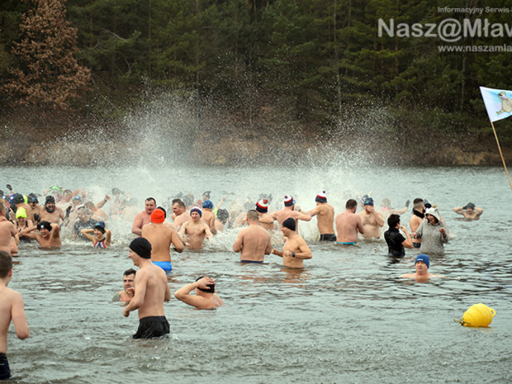 Zalew pełen foczek i morsów. Fotorelacja