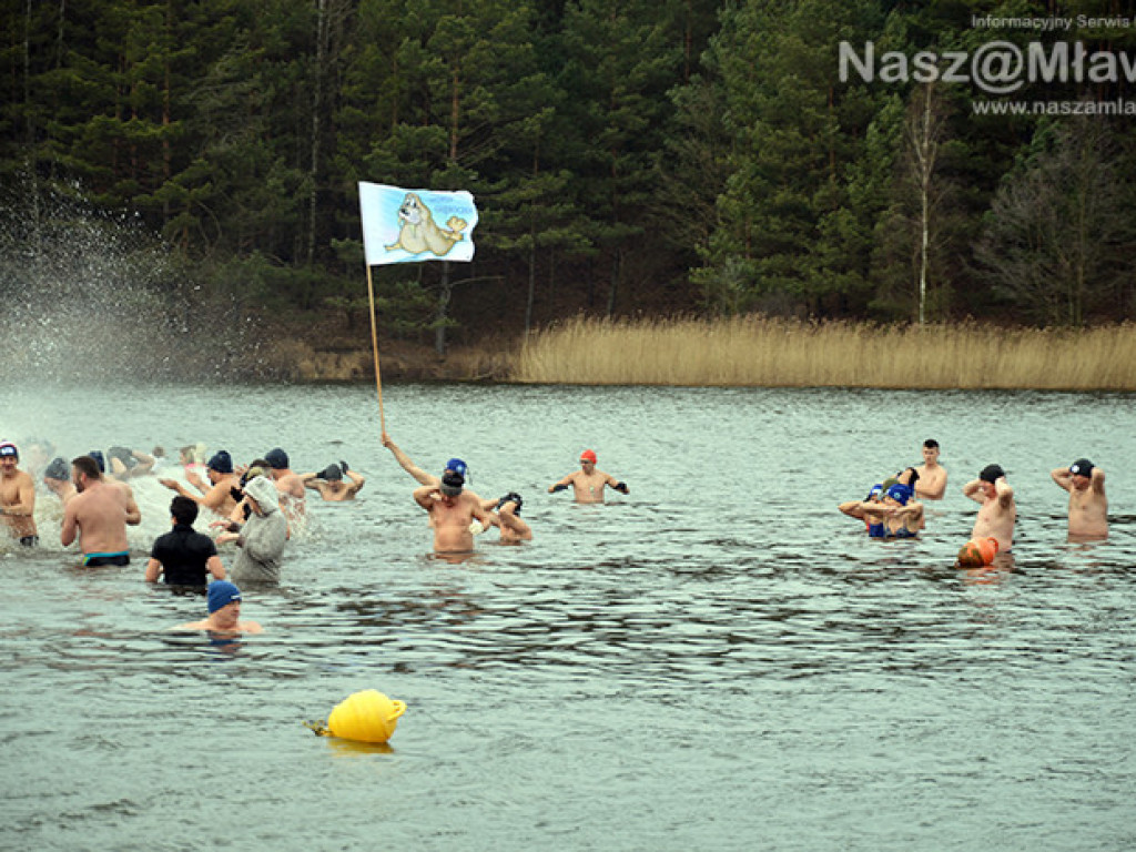 Zalew pełen foczek i morsów. Fotorelacja