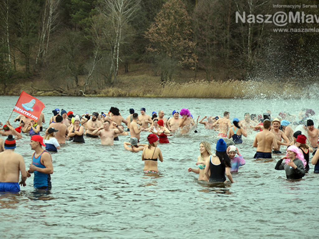 Zalew pełen foczek i morsów. Fotorelacja