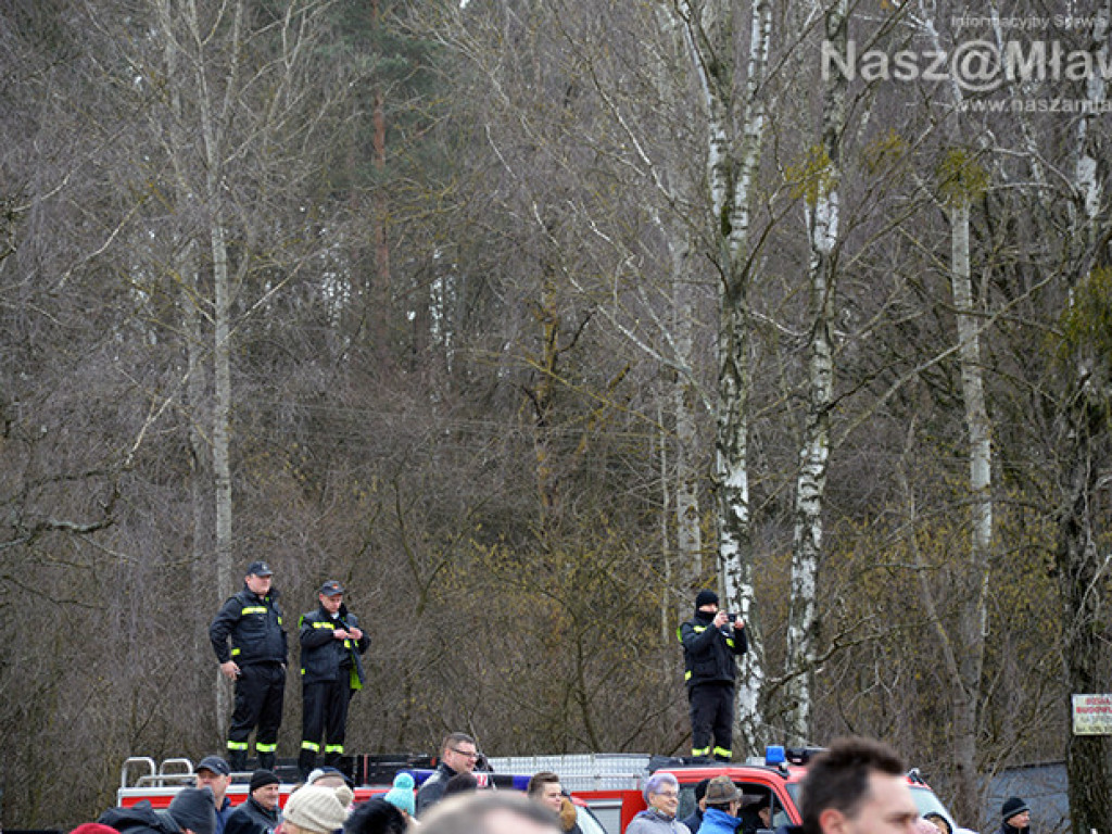 Zalew pełen foczek i morsów. Fotorelacja