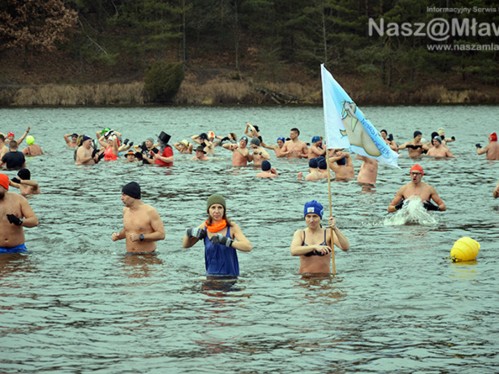 Zalew pełen foczek i morsów. Fotorelacja