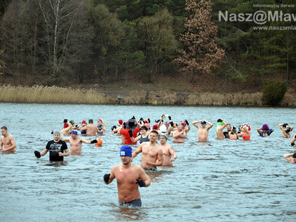 Zalew pełen foczek i morsów. Fotorelacja
