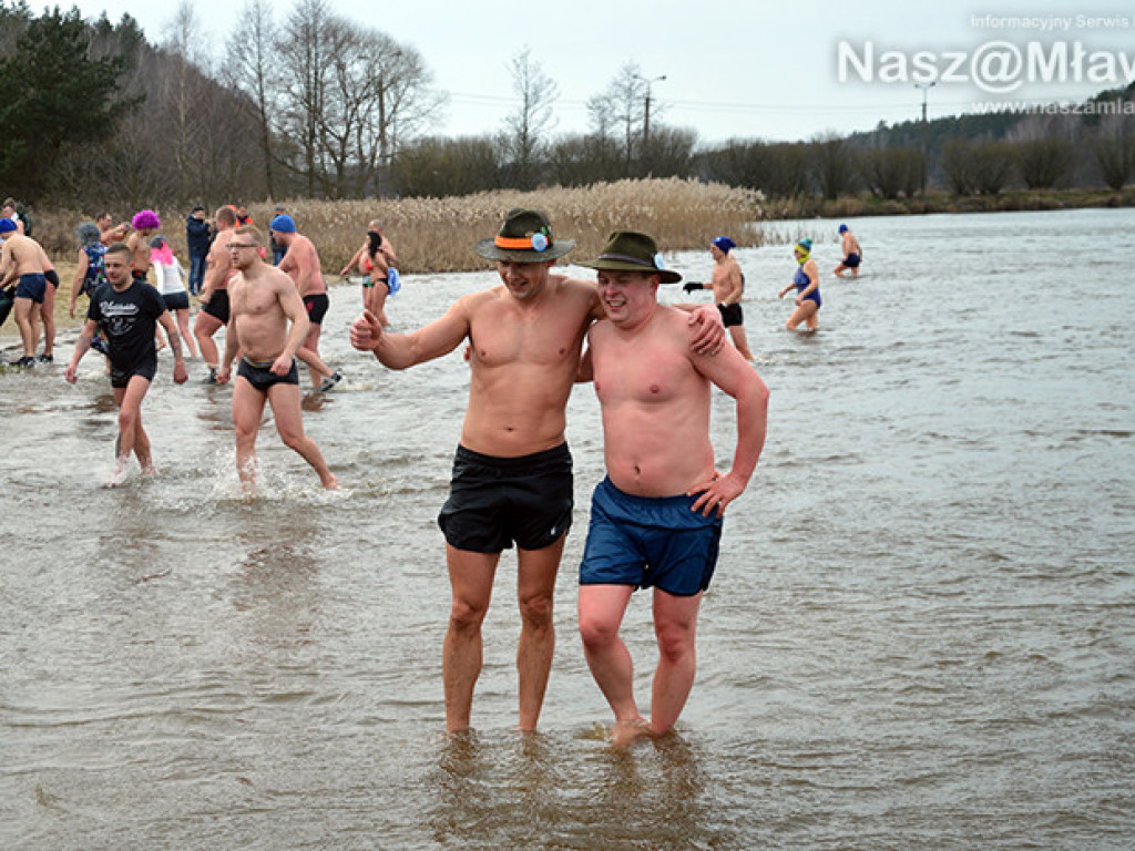 Zalew pełen foczek i morsów. Fotorelacja