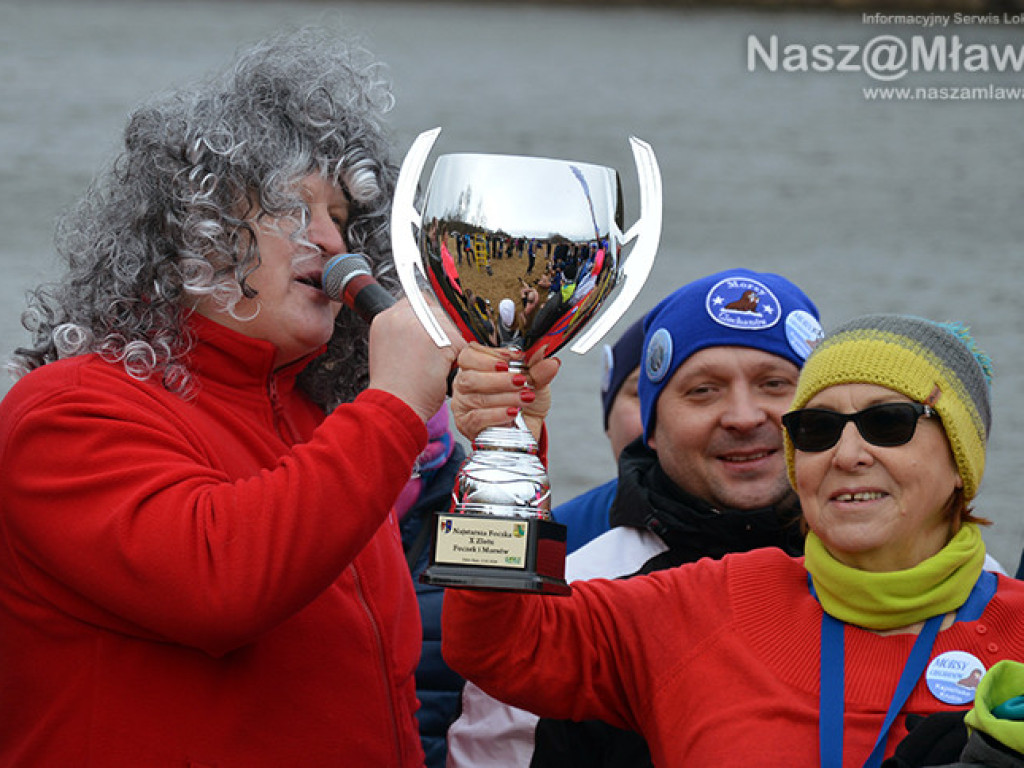 Zalew pełen foczek i morsów. Fotorelacja