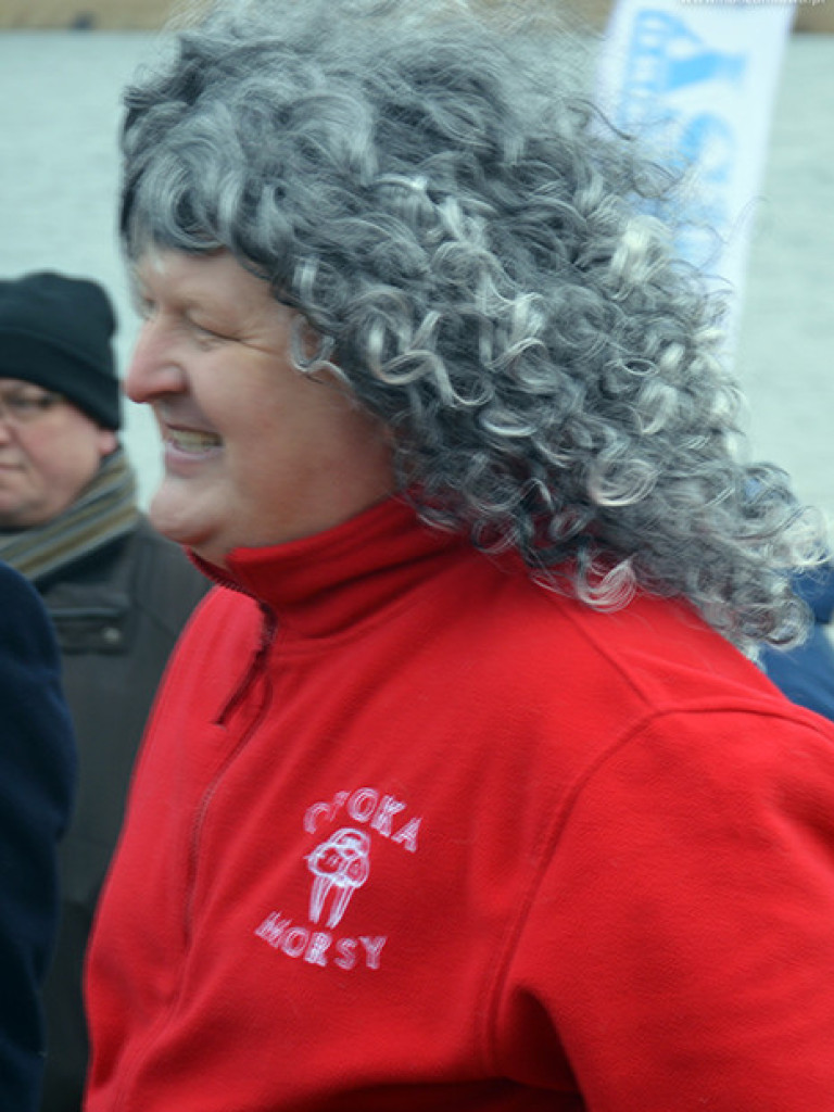 Zalew pełen foczek i morsów. Fotorelacja