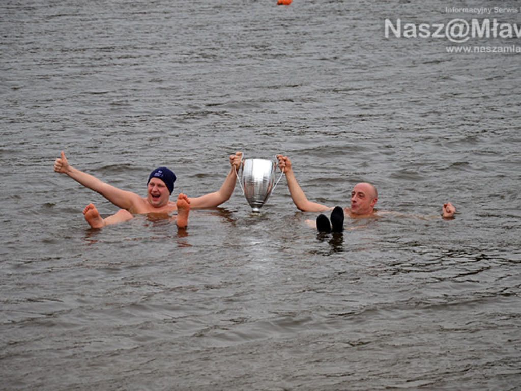 Zalew pełen foczek i morsów. Fotorelacja