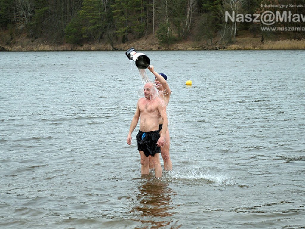 Zalew pełen foczek i morsów. Fotorelacja