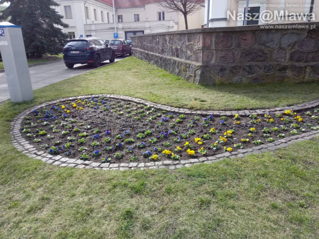 Ukwiecone miejskie rabatki. Ponad 37 tys. roślin