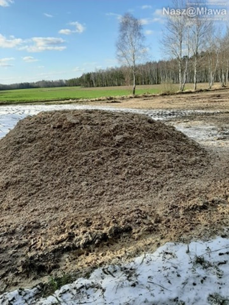 Człowiek idzie do lasu, a tu takie rzeczy...