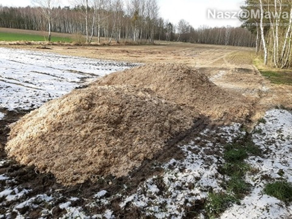 Człowiek idzie do lasu, a tu takie rzeczy...