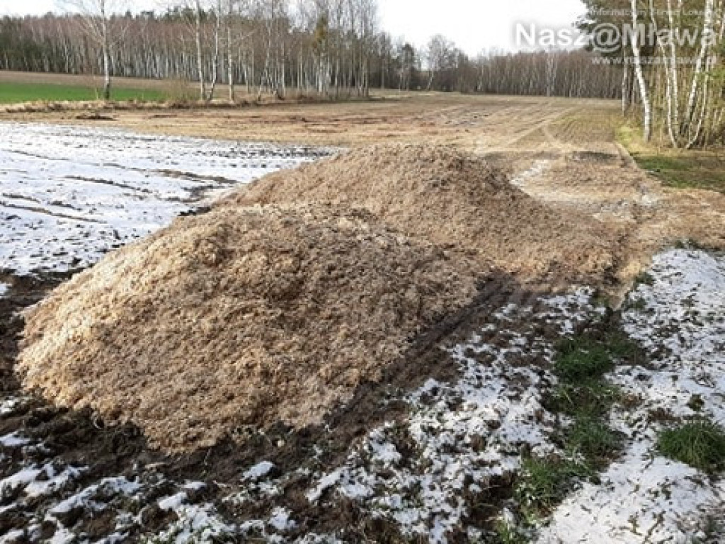 Człowiek idzie do lasu, a tu takie rzeczy...