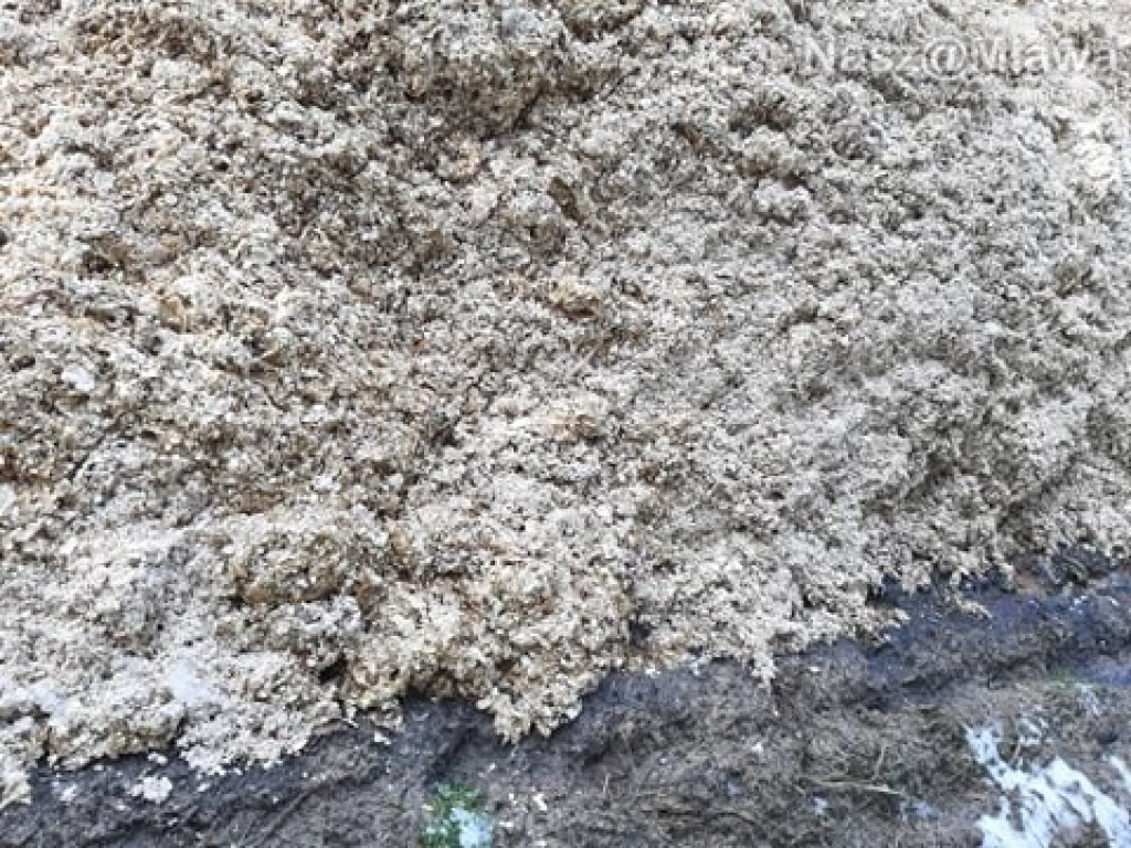 Człowiek idzie do lasu, a tu takie rzeczy...