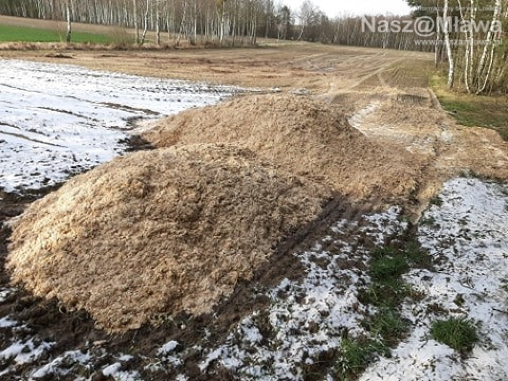 Człowiek idzie do lasu, a tu takie rzeczy...