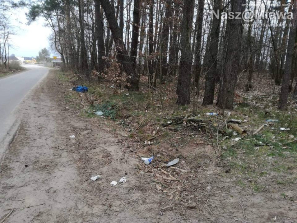 Śmietnik zamiast lasu