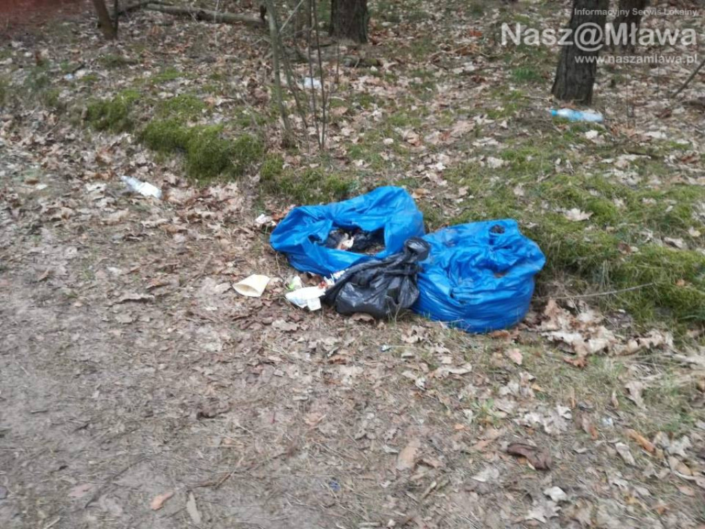 Śmietnik zamiast lasu