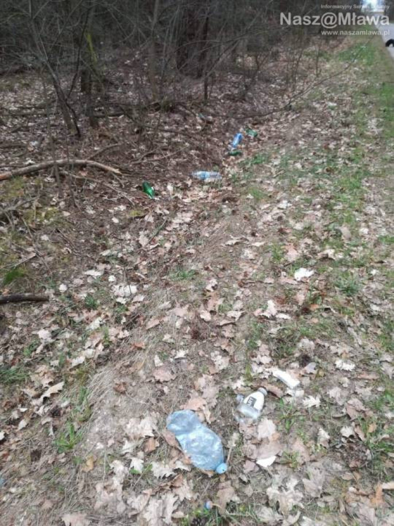 Śmietnik zamiast lasu