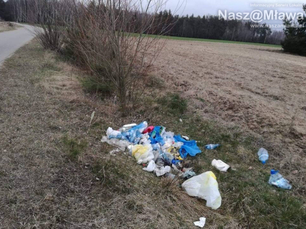 Śmietnik zamiast lasu